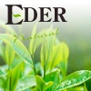 Air Freshener EDER Natural 1 liter - Aroma: AE18-GREEN TEA