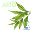 Refill Mikado Essence 1 Litre - Aroma: AE GREEN TEA