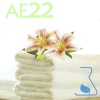 Refill Mikado Essence 250 ml. + 7 Sticks - Aroma: AE22-COTTON (Clean Clothes)
