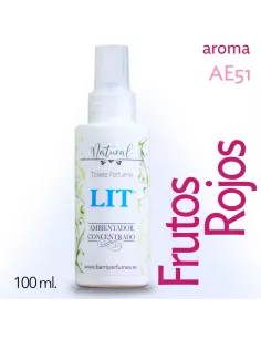 Concentrated Air Freshener LIT 100 ml. RED FRUITS